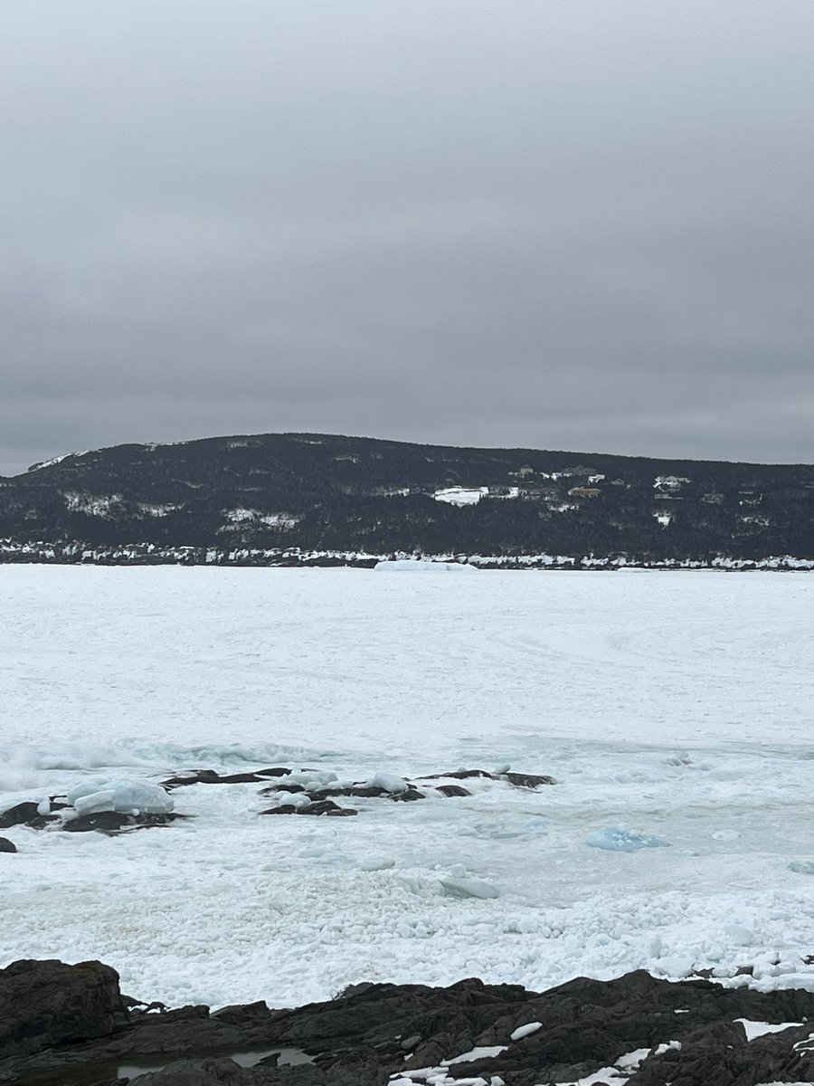 Amy Fisher tweet media