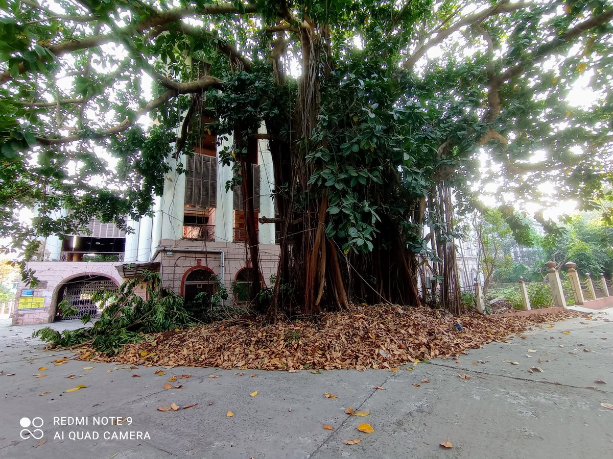 A tour of Burdwan University, a glimpse into the future and a flashback to the past! 🕰️🔭
#CampusTour #BurdwanUniversity #ExploreAndLearn