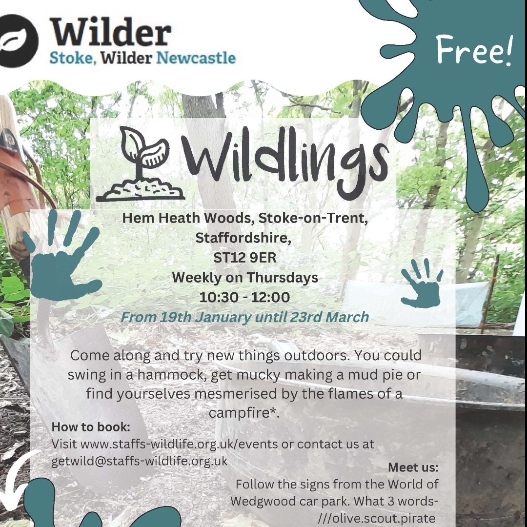 WildStoke's tweet photo. Still on this Thursday 16th March! Come out and join us for some FREE outdoor fun at Hem Heath Woods. 
👉Book your space: https://t.co/IvRjNwiNWR https://t.co/S2otUno4YR