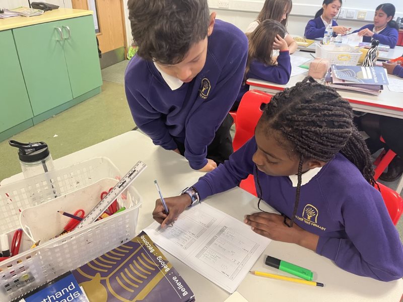 Alder Tree Primary tweet media