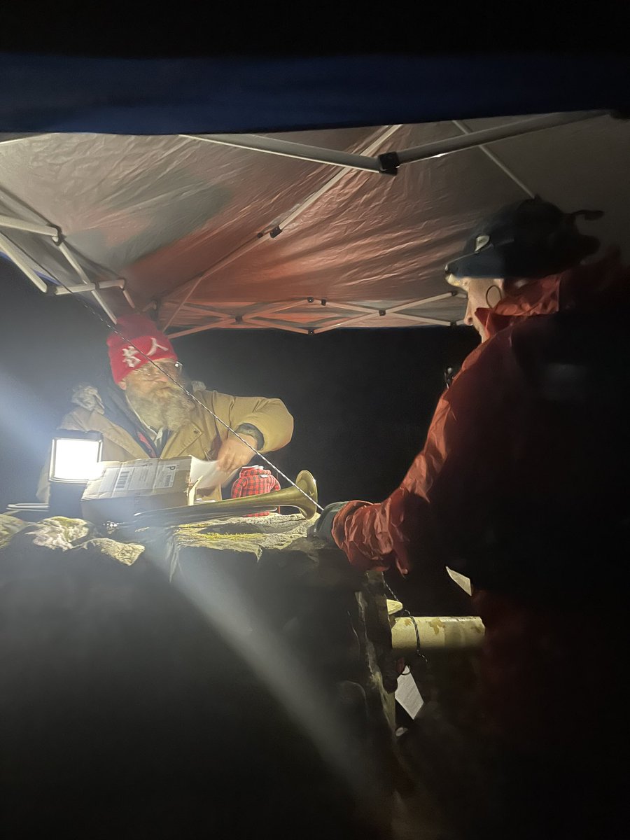 sarahollins tweet media