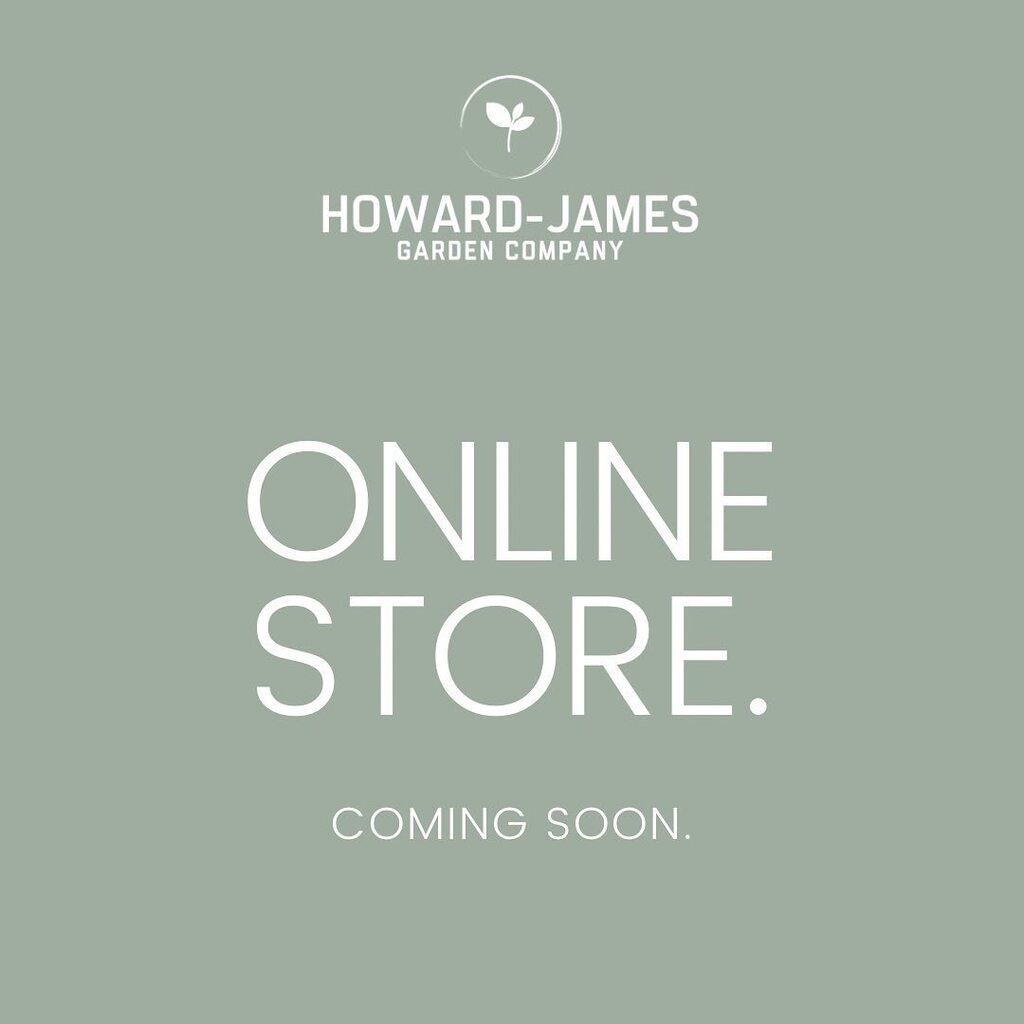 _howardjames's tweet photo. 🌱🌸🌻🌷
.
.
#gardenshop #garden #plants #onlineshop #gardening #gardendesign #plantshop #flowers #nature #gardens #gardenlife #gardenlove #indoorplants #gardenstyle #gardeninspiration #shoplocal #like #gardenstore #planters #gardendecor #follow #plant #… https://t.co/vwTcXTG8Xr https://t.co/o9MbOIzyWT