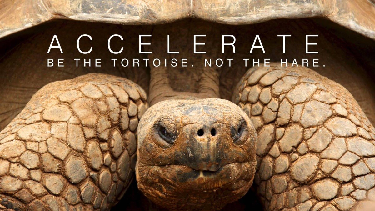 MarkWoeppel's tweet image. If you can reduce the time it takes to deliver projects by half, you can triple profits. Rather than &apos;building the team&apos;, every day you should ask &quot;what can we do to make this project go faster?&quot; .  #projectmanagement #projectexecution