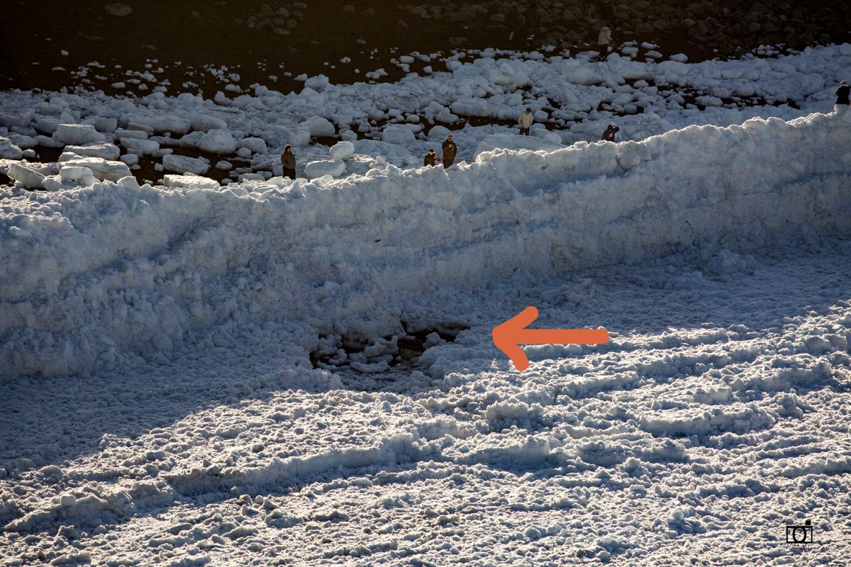 Alick Tsui tweet media