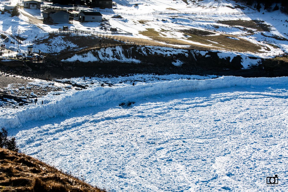 Alick Tsui tweet media