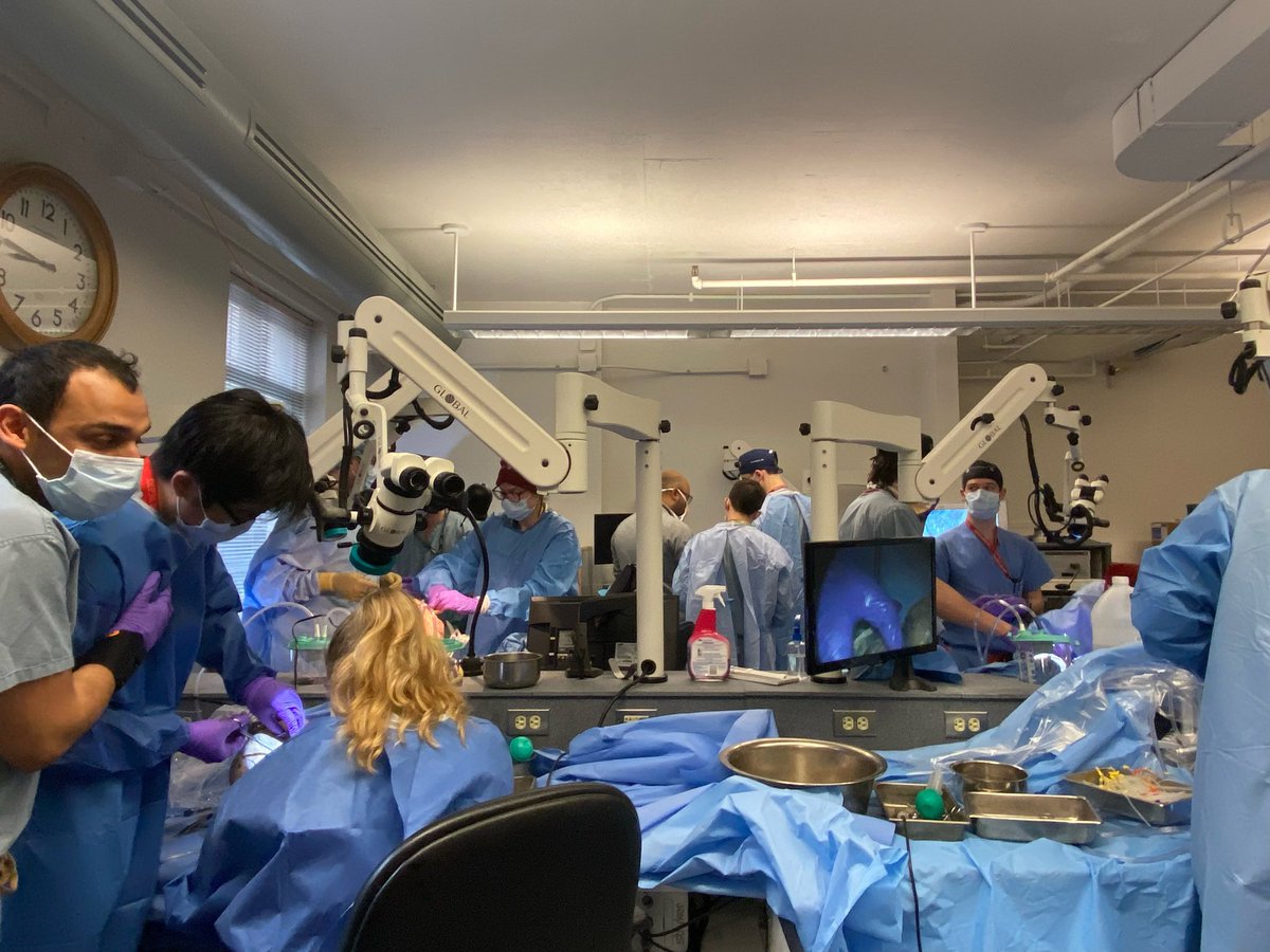 <a href="/BWHNeurosurgery/">Brigham and Women's Neurosurgery</a> resident #skullbase course kicks off with a pterional/COZ. The brain is the most “important organ”, so learning how to drill bone &amp; leave the brain alone is essential! <a href="/harvardmed/">Harvard Medical School</a> <a href="/OmarArnaout12/">Omar Arnaout, MD</a> <a href="/MarcelleAltshu1/">Marcelle Altshuler, MD</a> <a href="/SakshamGuptaMD/">Saksham Gupta, MD, MPH</a> <a href="/DaveSegar/">David Segar</a> <a href="/josephdriverMD/">Joseph Driver</a>