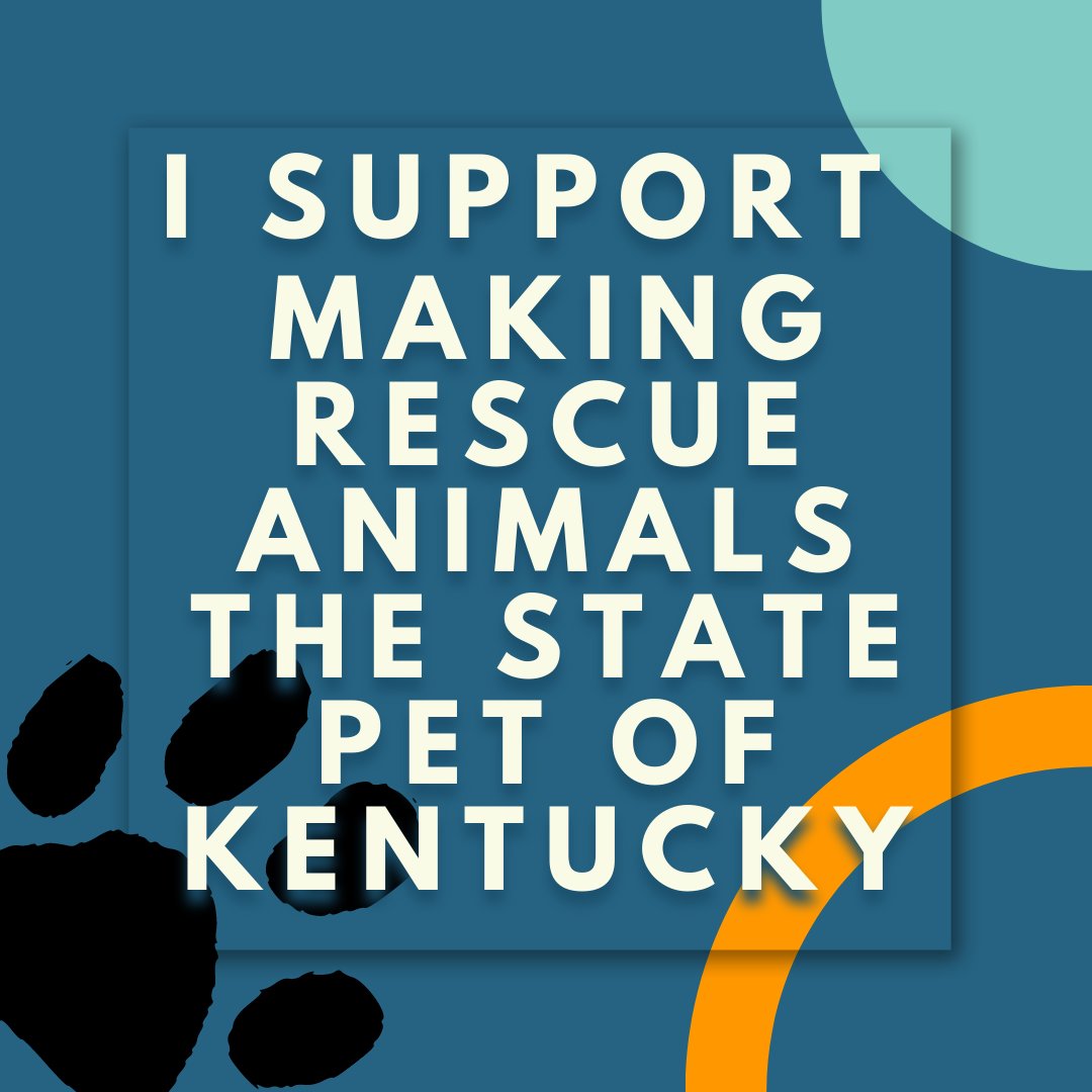 EthansPetProj's tweet photo. Please call 800-372-7181 today! We need those phone lines ringing!  1 week left  or it dies for the 4th year. We can do this Twitter! We can make rescue pets the state pet of KY and help a 10 year old realize his dream!! Ask the house state govt committee to hear and pass HB 166 https://t.co/pAFG6TX09Q