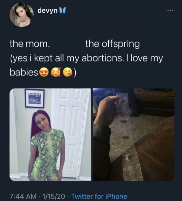 tragicbirdapp's tweet image. what the