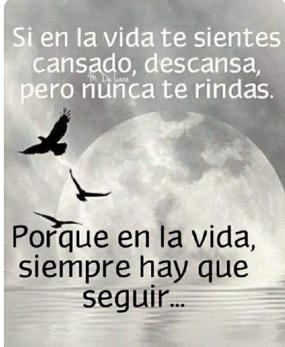 Eva Martinez (@ml_yose) on Twitter photo 