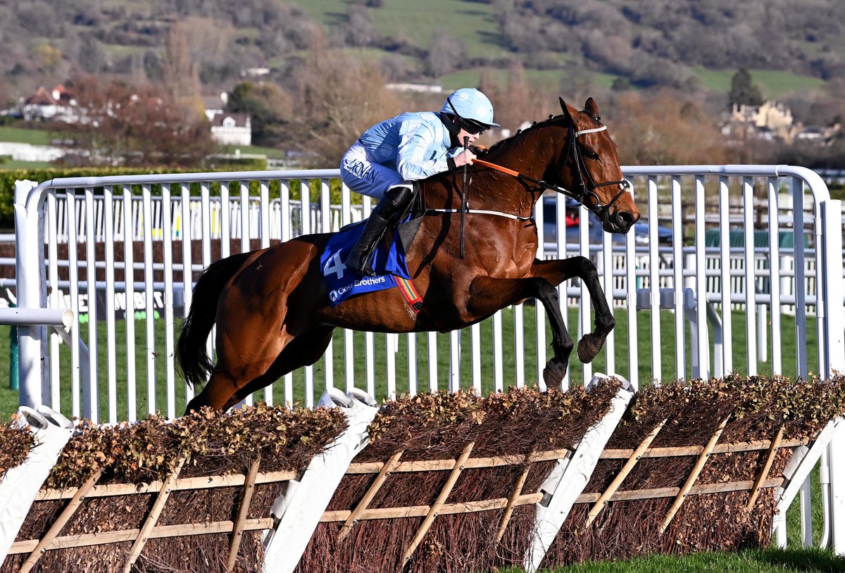 BluegrassFeeds's tweet photo. Honeysuckle finish's her career in true champion style๐ฅ๐
A total of 17 career wins including four Cheltenham successes, #PoweredbyBluegrass Race Horse Cubes!
#TransformingNutrition #TeamBluegrass #CheltenhamFestival https://t.co/ftltoiB8iE