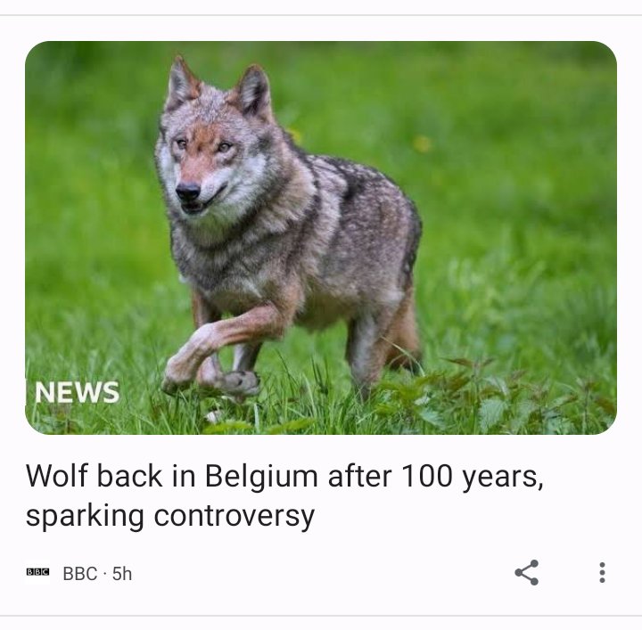 The use of the singular here makes it sound like this is about a specific, apparently immortal wolf who was previously exiled for some misdeed