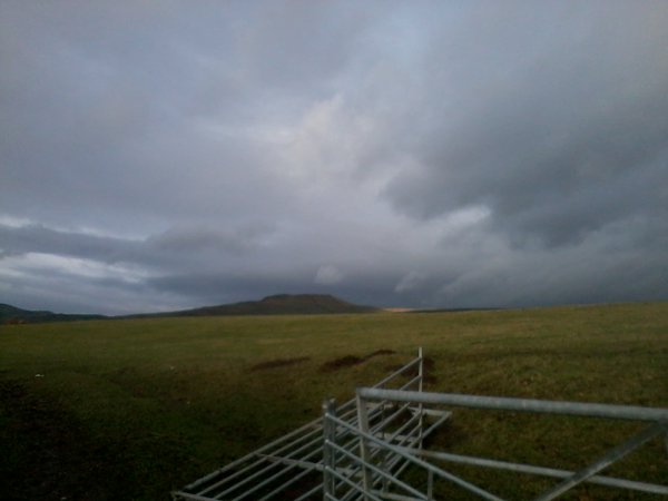 Jacy Brean tweet media