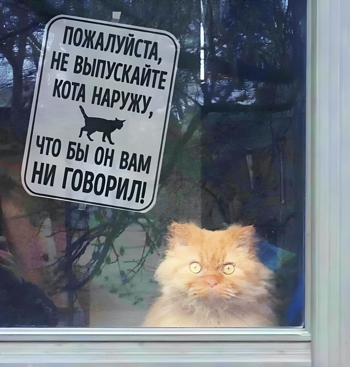 Всем Питерского тающего дня!😏