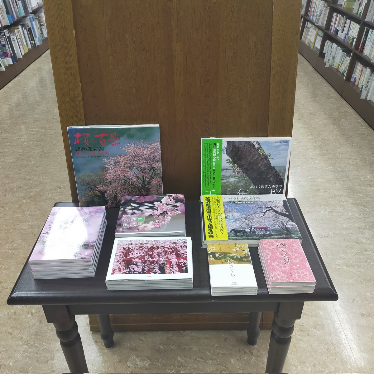 kawashige_shi's tweet photo. 今日も暖かい一日でした☺️
書店ではひと足早く桜が満開です☺️これからの桜散歩にぴったりの書籍がたくさん並んでます☺️
お近くの書店に足を運んでみては如何でしょうか?😁
#SEISEISYA #青幻舎 #紫紅社 #紀伊國屋書店梅田店 #ジュンク堂大阪本店 #丸善梅田店 https://t.co/Y9UQJ4AJKX