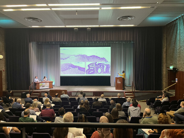 Hear <a href="/AdemolaAiyenuro/">Ademola Aiyenuro</a> story, transition from MPhil to PhD student in Pathology, working on understanding immune control of HPV-mediated cervical pre-cancer.

cambridge-africa.cam.ac.uk/cambridge-afri…