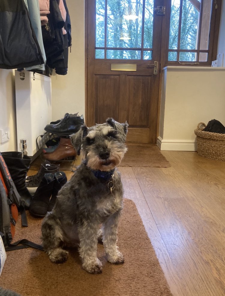 Andydyna tweet media