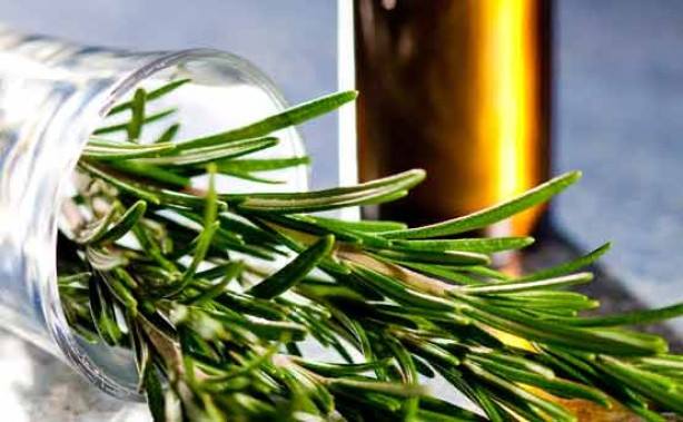 Ethylalcoholus's tweet photo. Everclear is a 151 proof neutral grain alcohol brand.
https://t.co/bNrmyv4G22
#alcoholextraction #herbal #grainalcohol #ethylalcohol #organic #organicalcohol #canealcohol #naturalherbal #proofalcohol #organicethanol #foodextracts #ethanolalcohol #business #simpsonoil https://t.co/xxy3fz2dRC