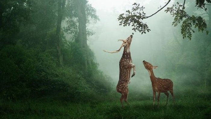 EDITORatWORK's tweet image. #declining #biodiversity Links to the NEED FOR BIODIVERSITY #environment #science #BillNye
tom-gillispie.blogspot.com/2022/10/bio.ht…