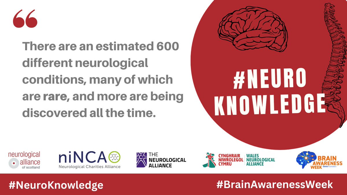 NeuroAlliance's tweet image. Rare neurological conditions can be especially difficult to diagnose and especially isolating. We need more awareness in the health sector to improve waiting times for diagnosis #NeuroKnowledge @NeuroAlScotland @niNCA @NeuroAlliance @NeuroWales #BrainAwarenessWeek