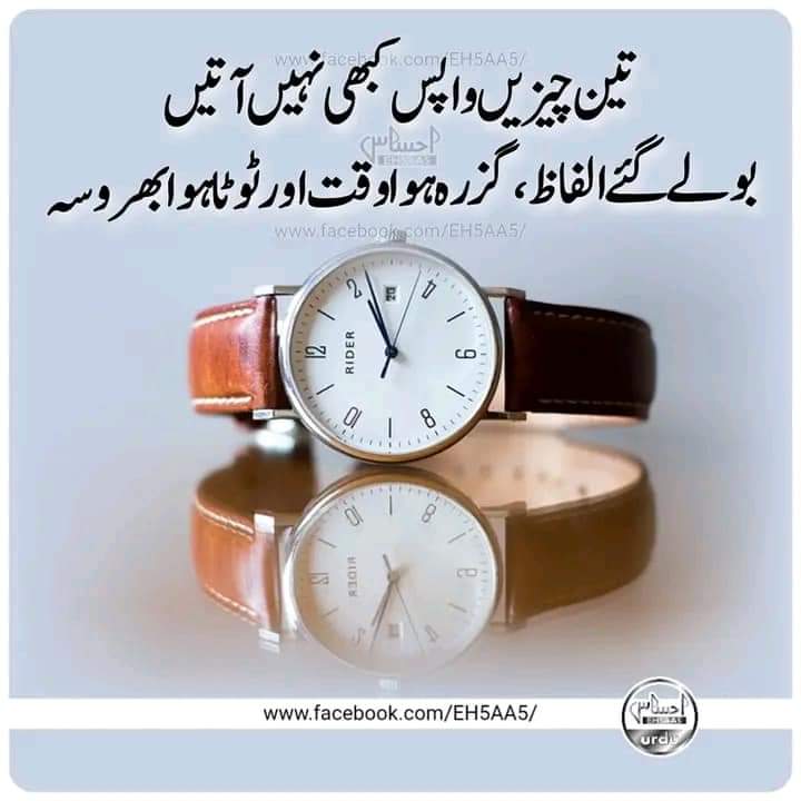 <a href="/AliHassanMarri5/">Ali Hassan Marri</a> 
#true