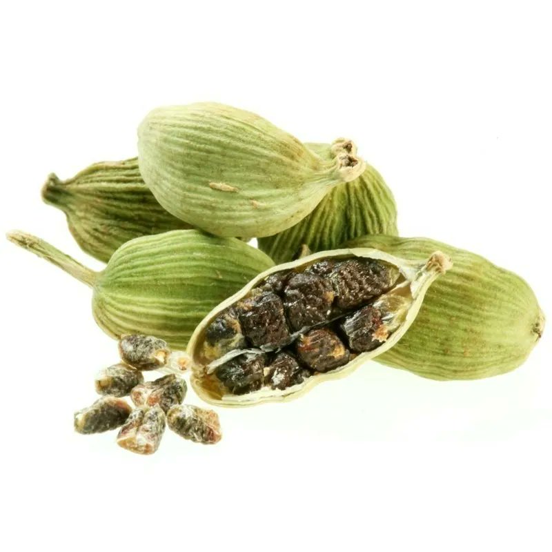 ChettyExports's tweet photo. #ExportQualityCardamom from #ChettyExports: Discover the world's finest cardamom for your cooking needs. Trust us for premium quality and timely delivery. #SpiceUpYourLife #QualitySpice #GlobalExports #FlavorfulJourney 
 Contact us:
 +919940699223
 support@chettyexports.com https://t.co/YNowEpWV81
