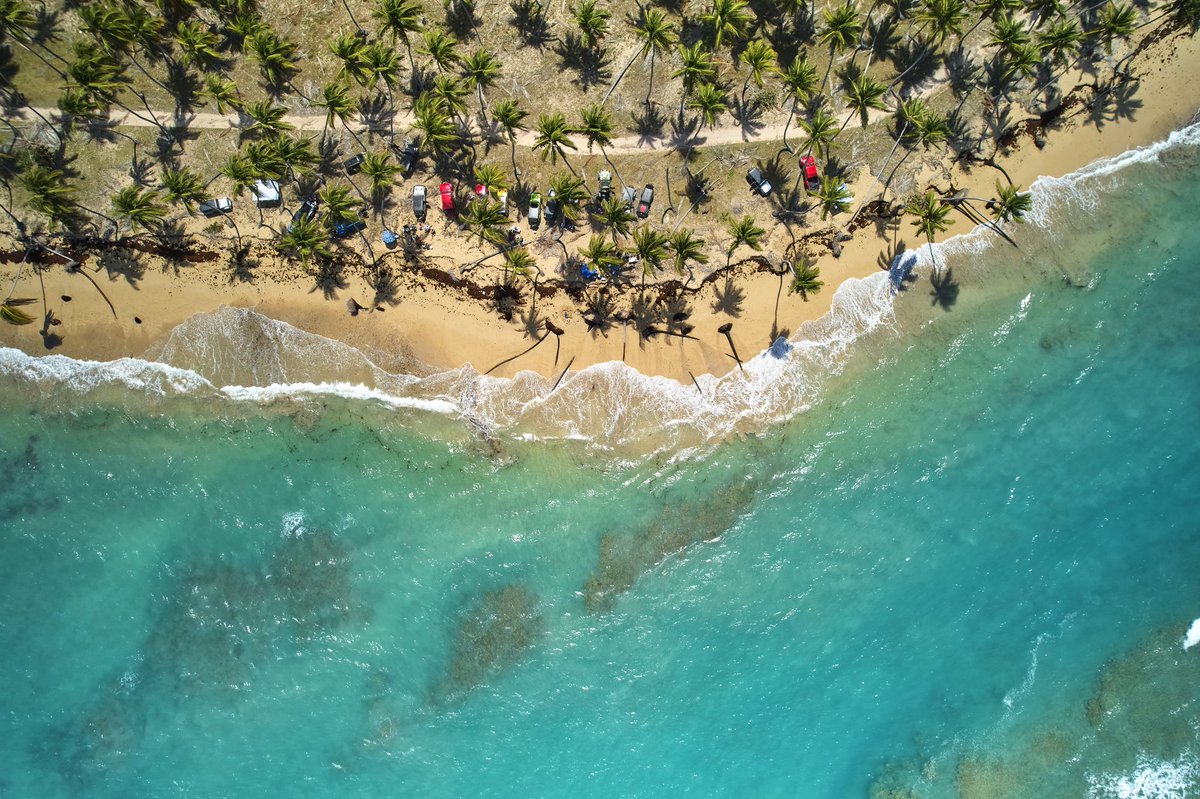 warchiefx's tweet photo. Alrededores de Playa El Limón, en Miches. Han visitado esta hermosa playa?
#beach #sea #sand #WCX042 #rdporloalto #dji #djiglobal #techdronerd #djiair2s #dronephotography https://t.co/sLhFr3iP9e