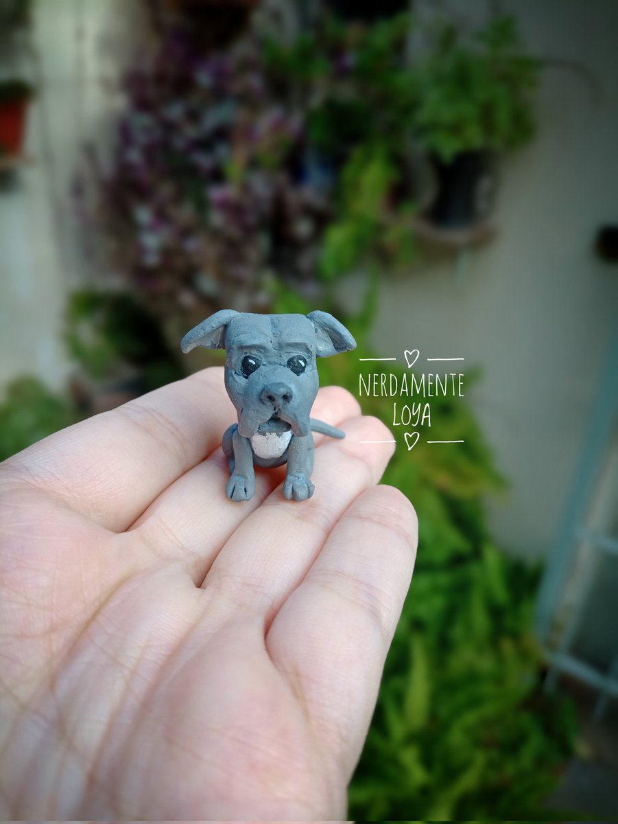 nerdamente_loya's tweet photo. 🐕 Dale like y Rtea el #perrito
🤭 No hagas enojar a #johnwick
#emprendimiento https://t.co/UBTFLDNA9t