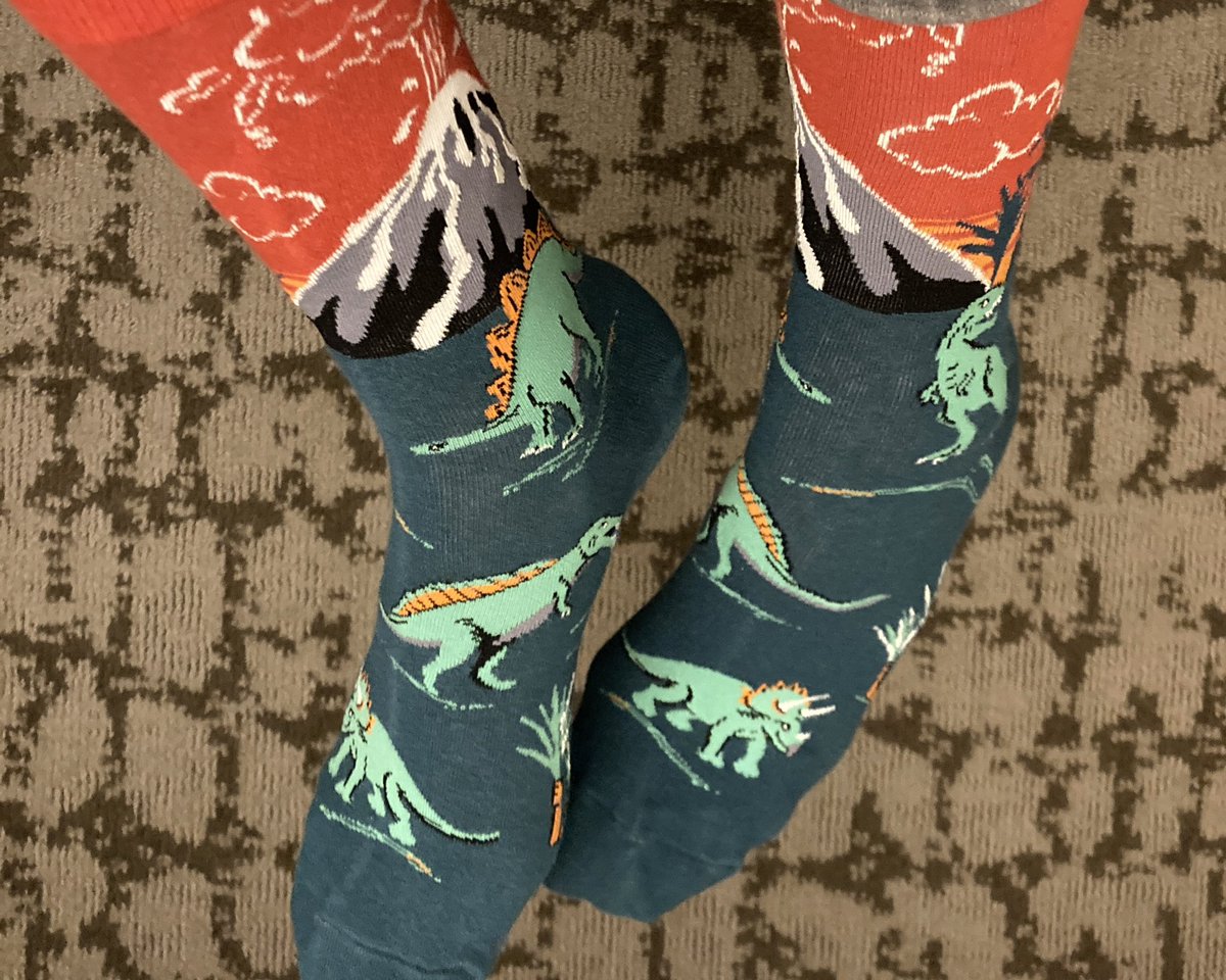 szizygy's tweet photo. I might be running low on space #SocksofLPSC at #LPSC2023 π€π¦π¦π https://t.co/6yhJwyH7rz
