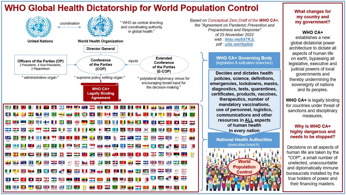 Pascal Najadi ⚡️ tweet media
