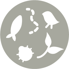 ELLS_Heidelberg's tweet photo. Do you know the organism? Answer in the poll below.
As the only flowering plants that are found in marine habitats, these organisms are very efficient carbon sinks, capturing and sequestering CO2 at the sea floor. They are endemic to the Mediterranean Sea. #biochat #TeacherCPD https://t.co/AnBlqhceCG