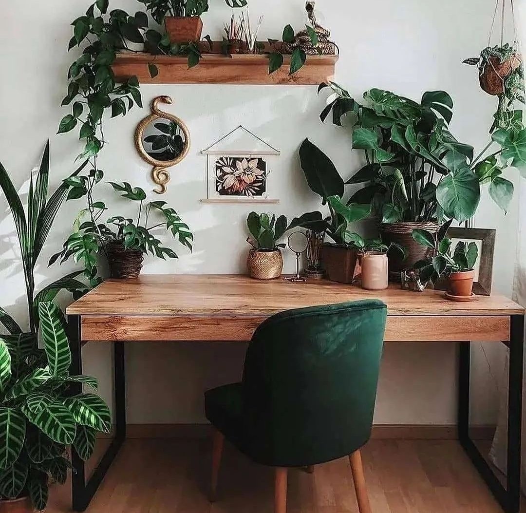 A perfect desk setup 🌿