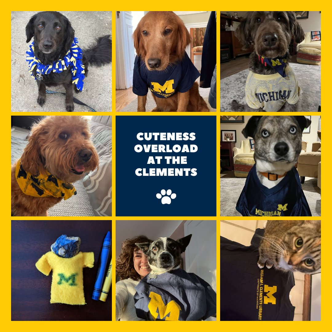 ClementsLibrary's tweet photo. Warning: Cuteness Overload with #ClementsLibrary staff pets. 11am-Noon ET, it’s your turn to share a photo of your pet or baby in U-M gear. Include #GivingBlueday to be entered to win $500 towards the fund of your choice. #GoBlue https://t.co/bisdMib6g7 https://t.co/TchoaJwk5m