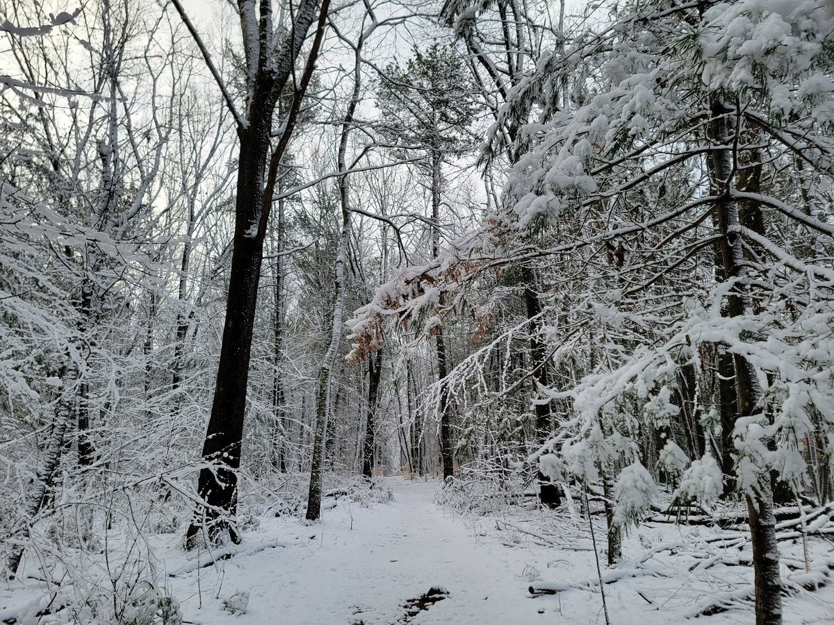 growingwisdom's tweet photo. Elevation definitely mattered yesterday. Highest point in Natick at 410 ft up looks a lot different This morning from near my house. Wow https://t.co/x9PYOt2Hf0