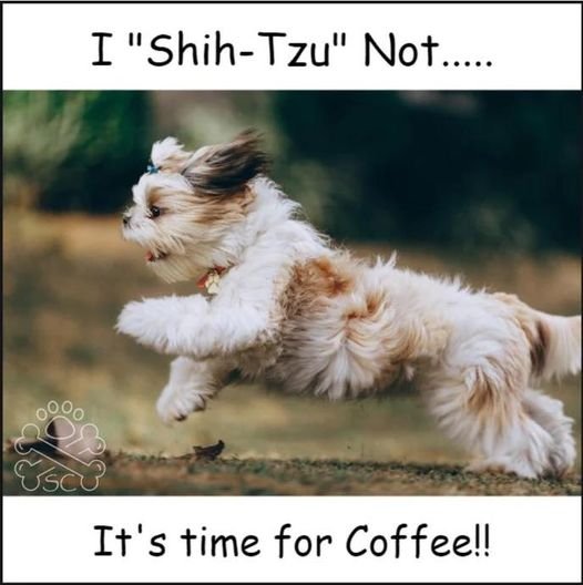 michigancheri's tweet image. It&apos;s #PumpDay kids