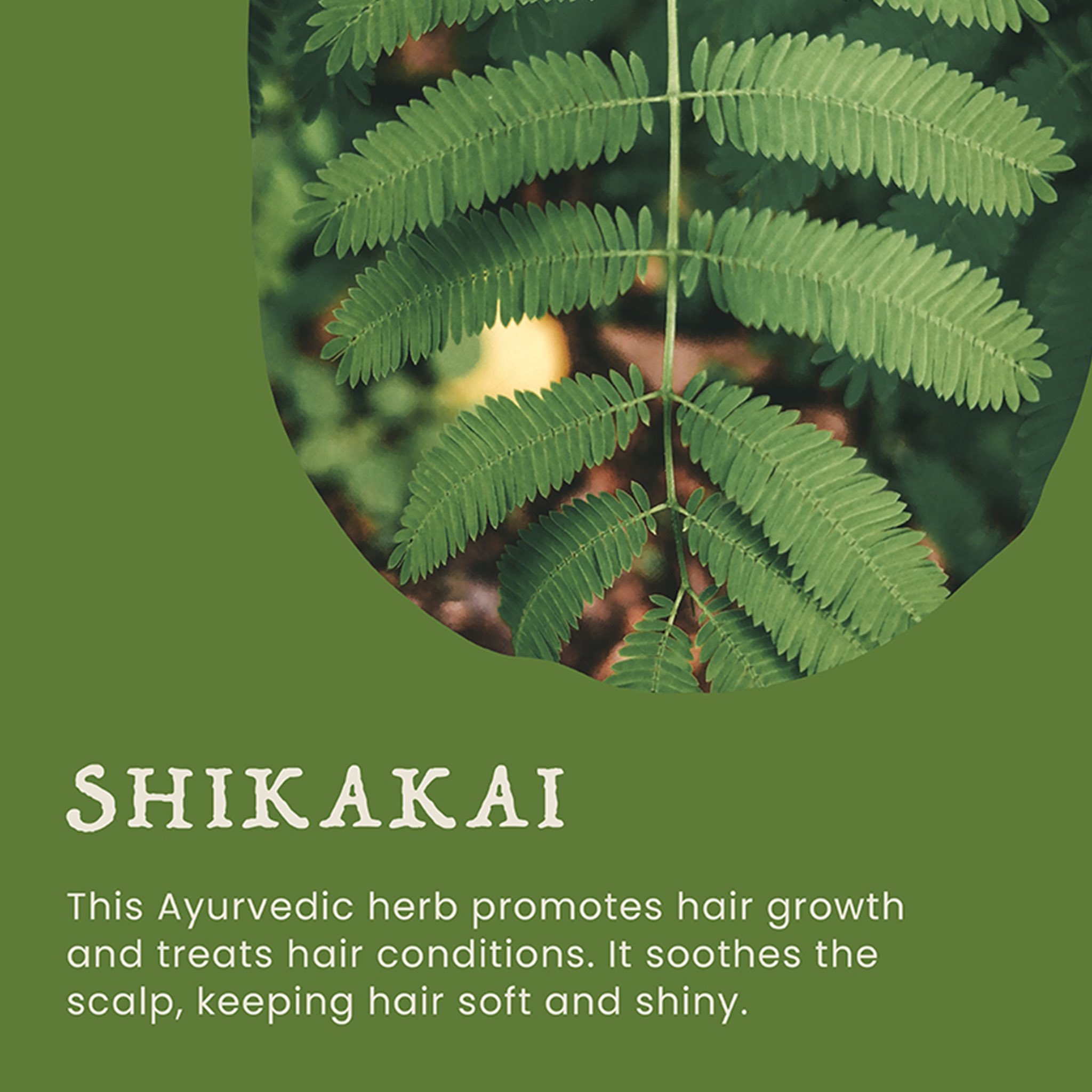 Isha Life India (Ishalifeindia) / Twitter