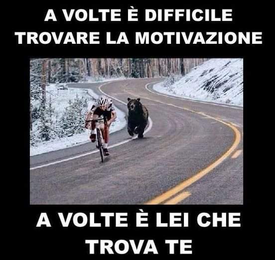 A volte è difficile trovare la motivazione...😜
#memeitaliani
#ridere #memeita #15marzo #sorridere #divertente #motivazionale