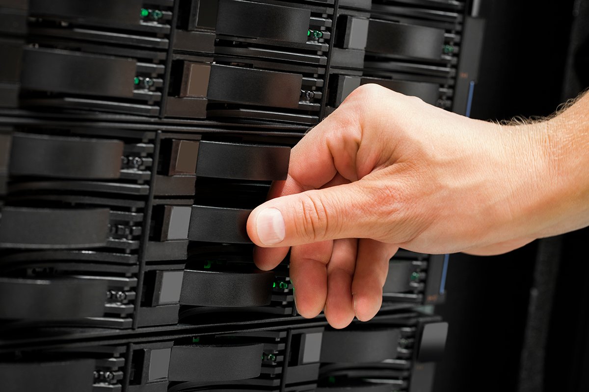 Network EGYPT tweet media