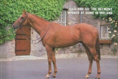 HORSERACING1002's tweet photo. GO AND GO🇮🇪1987
(BE MY GUEST - IRISH EDITION BY ALLEGED)
#GoandGo
B/O Moyglare Stud 🇮🇪Mar 2, 1987.
15-6-0-2---$727,491
Laurel Futurity G2, Tyro S, @BelmontStakes, Minstrel S.
3rd Native Diver H G3, San Fernando S G2. https://t.co/3OIbYR2VM5