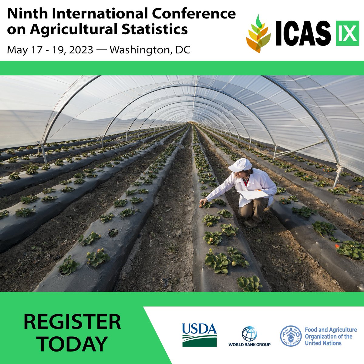 FAO Statistics tweet media