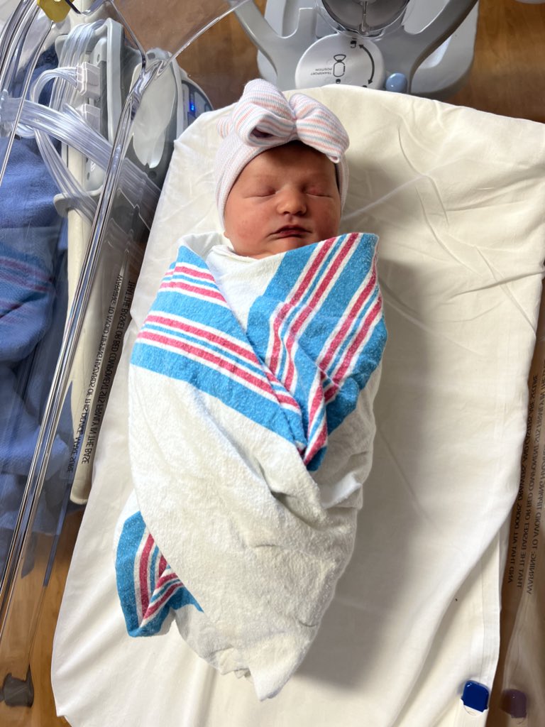 Colby Daniels tweet media