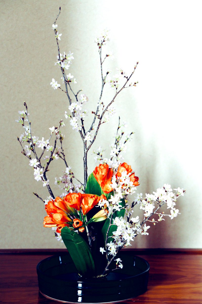 Yukiko Matsuoka tweet media