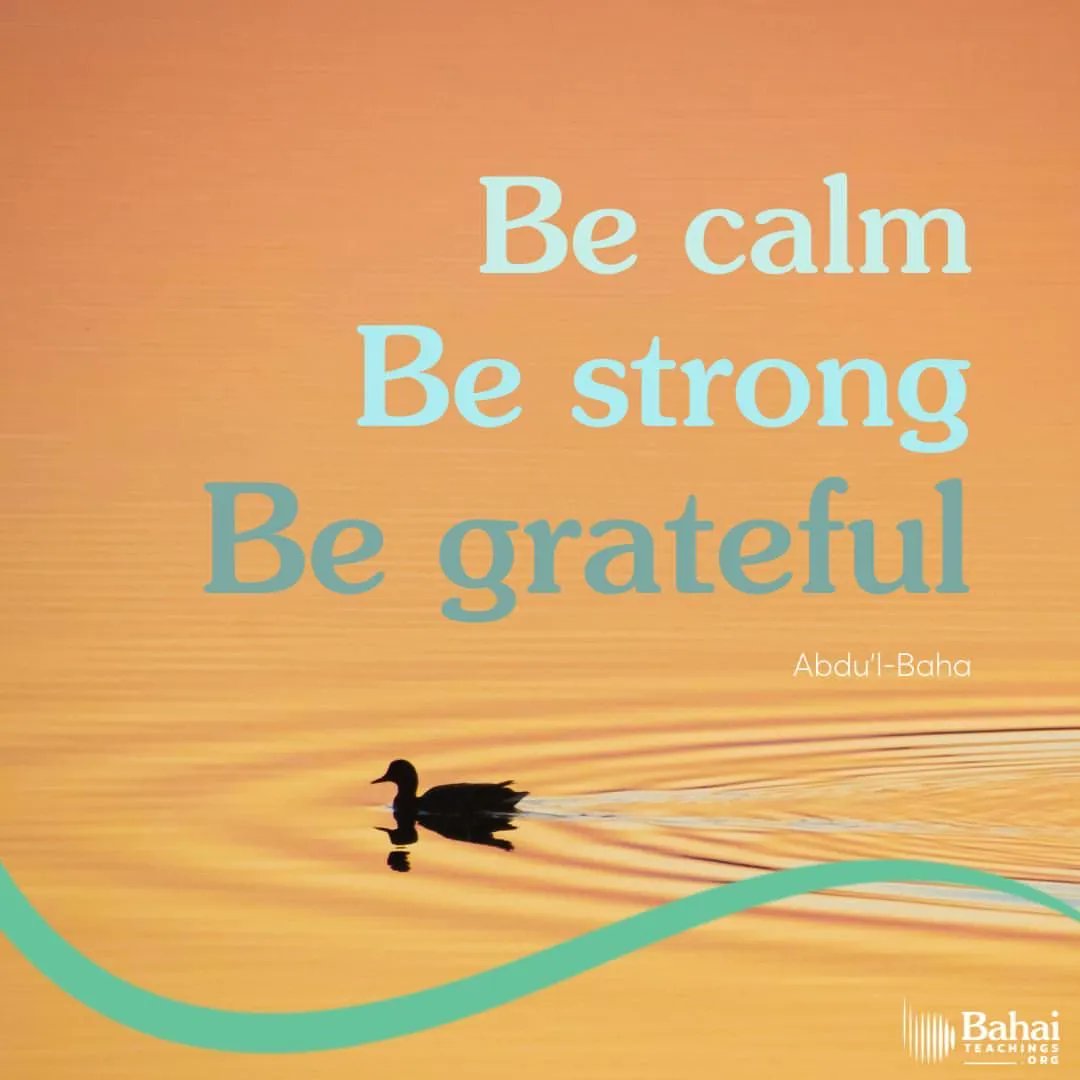 Bahai_Teachings's tweet photo. Be calm, be strong, be grateful, and become a lamp full of light, that the darkness of sorrows be annihilated, and that the sun of everlasting joy arise from the dawning-place of heart and soul, shining brightly. - #AbdulBaha⠀
⠀
#bahai #spirituality #pacience #kindness⠀ https://t.co/DycM17dy9Q