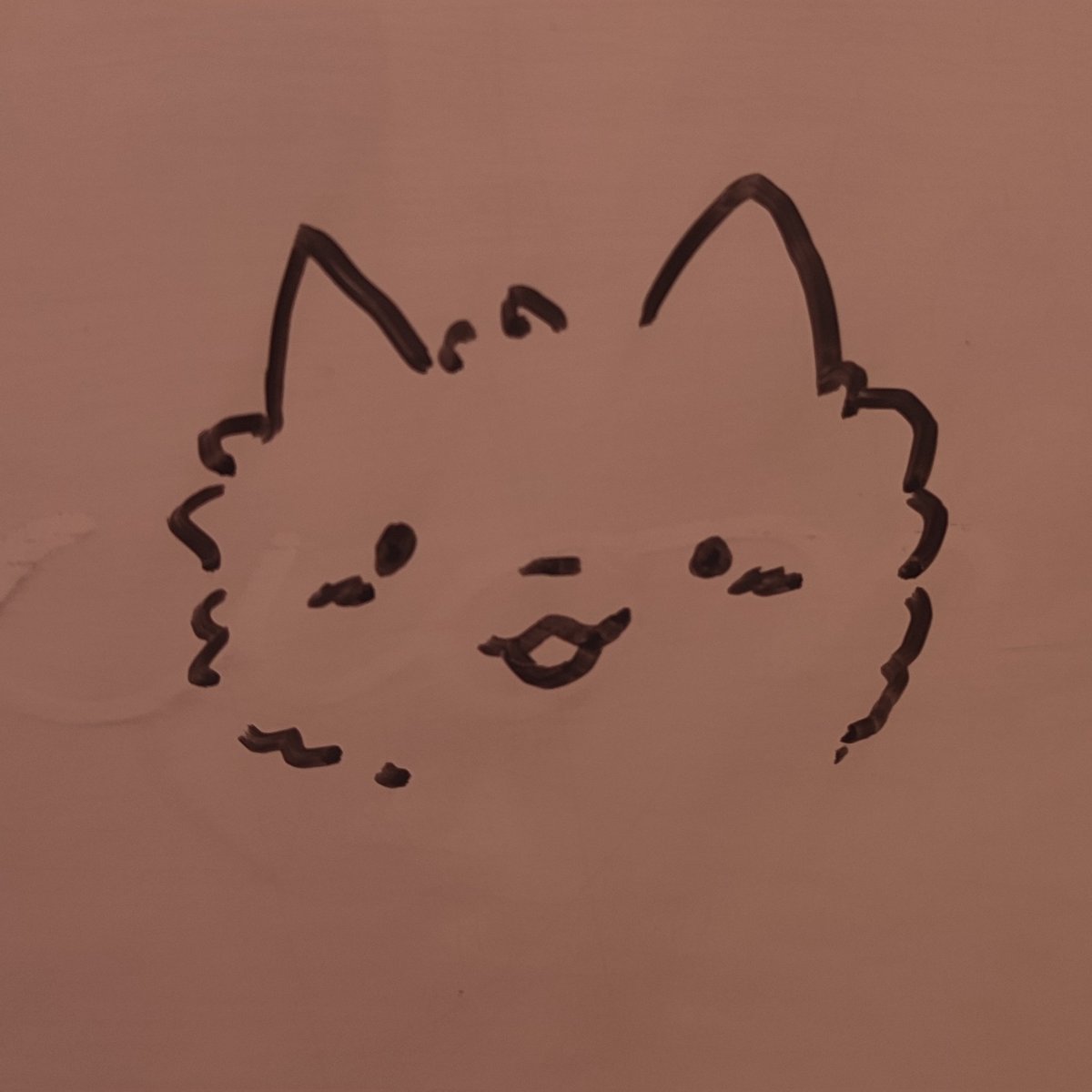 endercraft313's tweet photo. Meow✨ https://t.co/6u3k4CaiIN