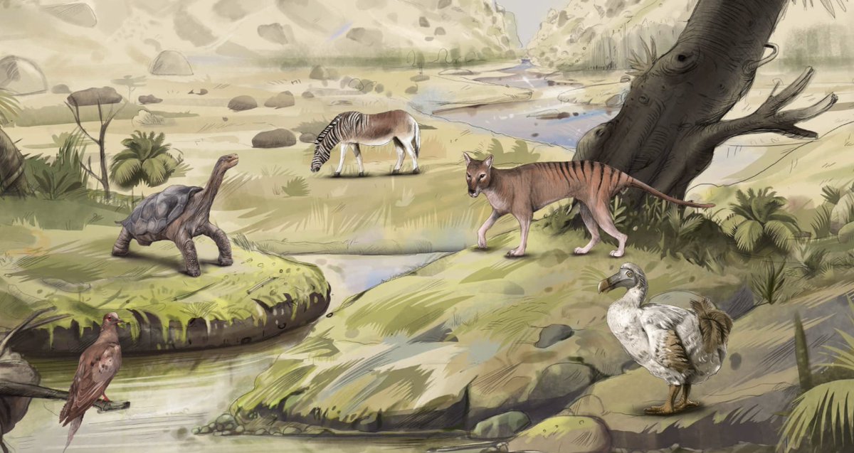 Extinction puts 1 million species on the verge of disappearing. I'm sure this is not new to most of you but check out this infographic, it's really well done. And it's sad. Our Planet is screaming!| rb.gy/9nsubq