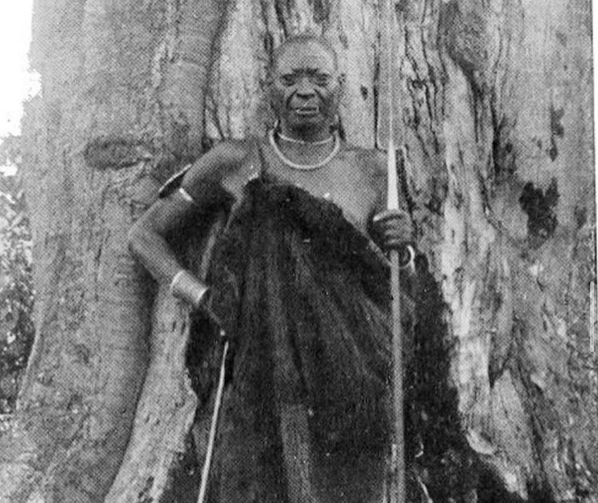 MatiriNgemi's tweet photo. This picture is one of the rare pictures of a Gikuyu elder (appearing to stand in front of a majestic mûgumo tree) taken in 1903 by William S. Routledge.

In his times, the life of a Mûgîkûyû’s  was governed by 5 Ethical principles. See how holistic they are. A 🧵(1) https://t.co/B7bUwHD9rn