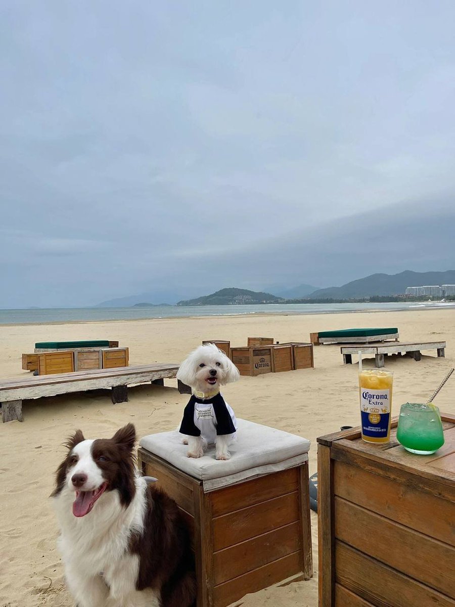SunflowerGool's tweet photo. The cure for a happy life is to keep loving life. https://t.co/uqqEopA2Ws