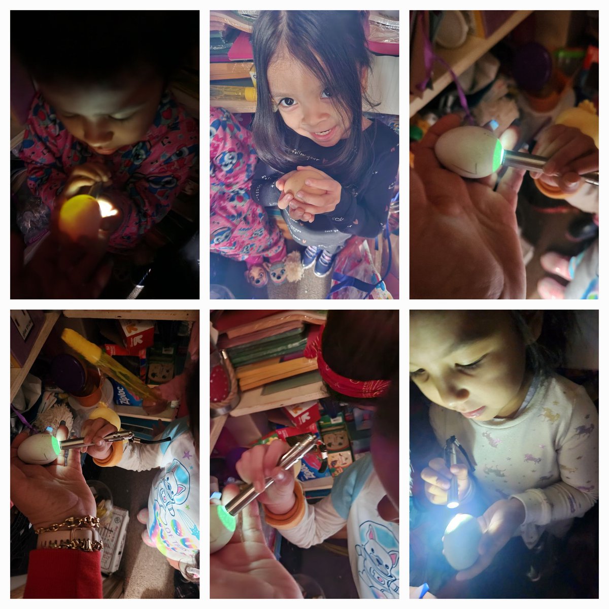 MsAlix_101's tweet photo. 20 days ago, our class received 7  chicken eggs to take care of and learn about🤩🪺 Today, 5 eggs hatched and Ss had the amazing experience to see it🐣🐣 🤩💛 soon we will present you our beautiful baby chicks 🐤🐤🐥   @wnyecc @wnyps1 #tigercubs1b9 #TheMagicOfLife @RentTheChicken https://t.co/jt5lTMEvOD