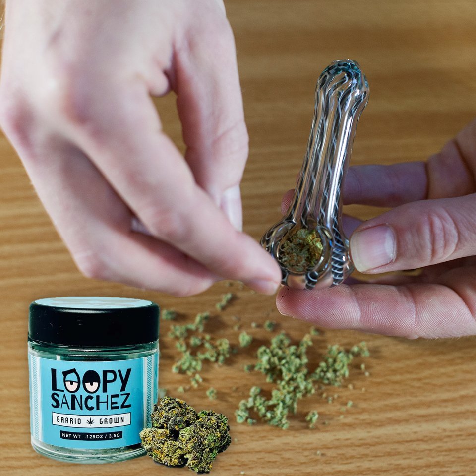 IamLoopySanchez's tweet photo. Starting the day with some 🔥Loopy Flower 😜

#loopy_sanchez #cannabis #cultivation https://t.co/rrDFUCNtcl