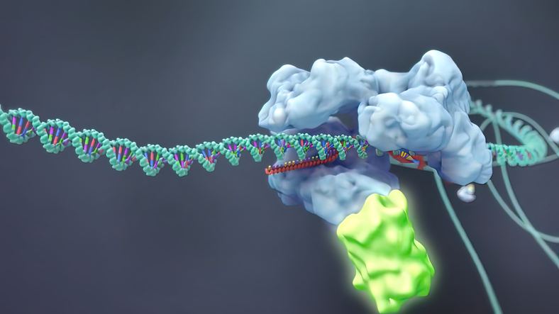 KI professor <a href="/GoCasteloBranco/">GonçaloCasteloBranco</a> and colleagues <a href="/Yale/">Yale University</a> report in <a href="/Nature/">nature</a> that they have developed a #SpatialOmics technology that can map simultaneously how #genes are switched on/off and how they are expressed in different areas of tissues and organs. #RNA news.ki.se/new-technology…