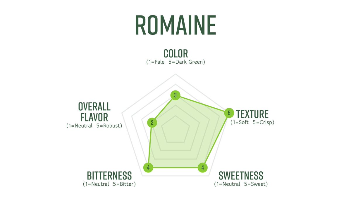 🥬 What makes romaine lettuce so popular?! 

When looking at its sensory profile, there are several indicators that show why it's many people's go-to for a salad. It scores a 5/5 on crispness and has a sweet neutral flavor.

Learn more:lettuceinfo.org/products/romai…